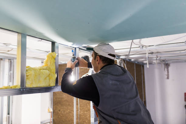 Best Spray Foam Insulation in Pigeon, MI