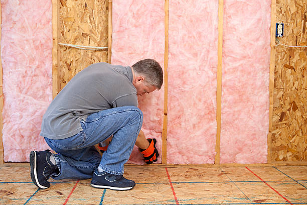 Best Geographic-Specific Insulation Services in Pigeon, MI
