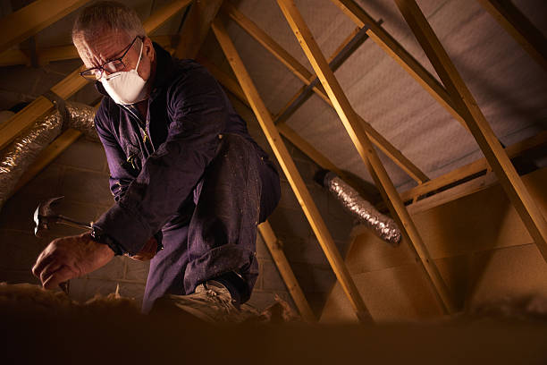 Best DIY Insulation Kits and Guidance in Pigeon, MI